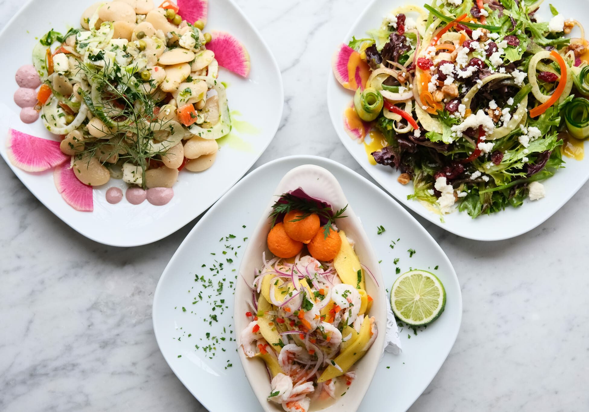 Plates of cannellini bean salad, shrimp and mango ceviche, and green salad